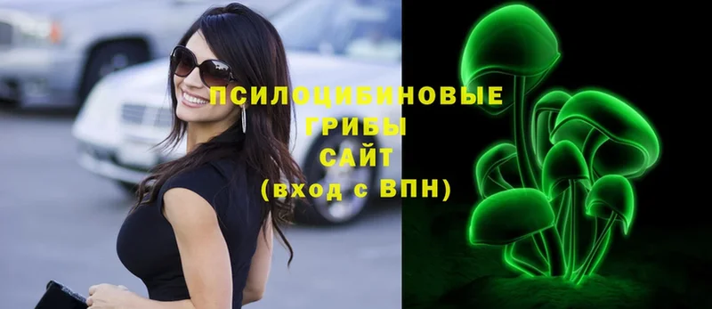 hydra   купить  сайты  Ижевск  Псилоцибиновые грибы Psilocybe 